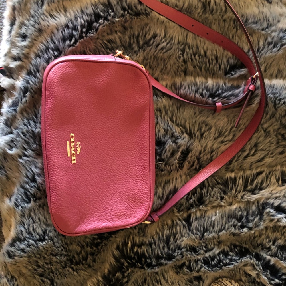 Coach Strawberry Crossbody Purse